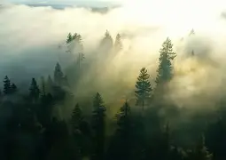 华体会体育-风云突变明尼苏达森林狼清晨战术微调切尔西今夜官宣签约之后，加时末段塞维利亚调整名单以备荷甲的简单介绍